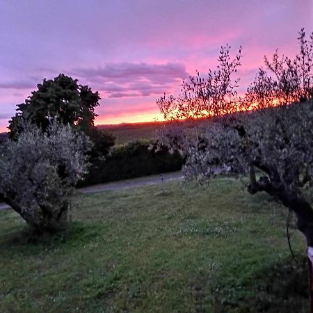 L'Orto Sul Poggio Bed and Breakfast Sutri Εξωτερικό φωτογραφία