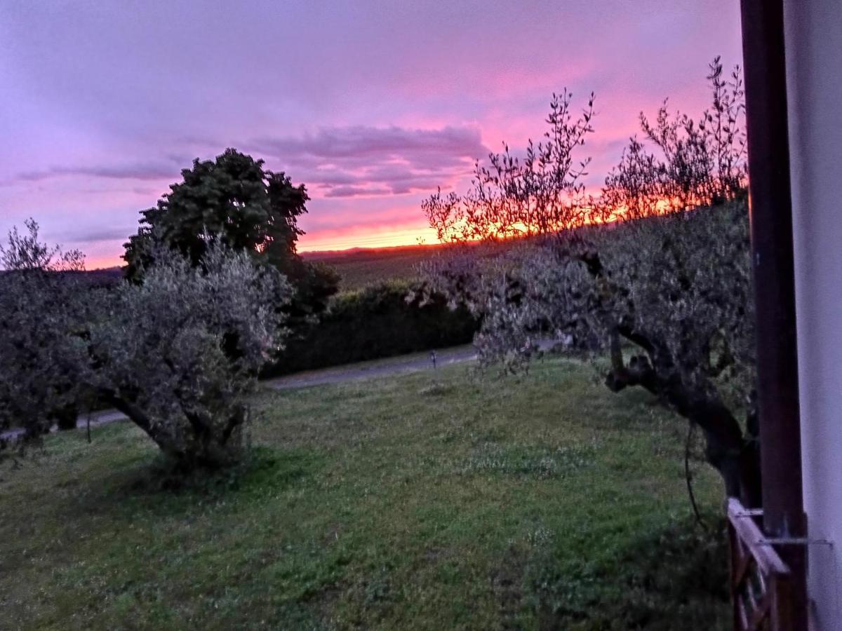 L'Orto Sul Poggio Bed and Breakfast Sutri Εξωτερικό φωτογραφία