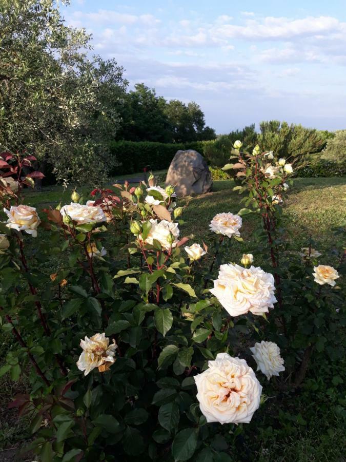 L'Orto Sul Poggio Bed and Breakfast Sutri Εξωτερικό φωτογραφία